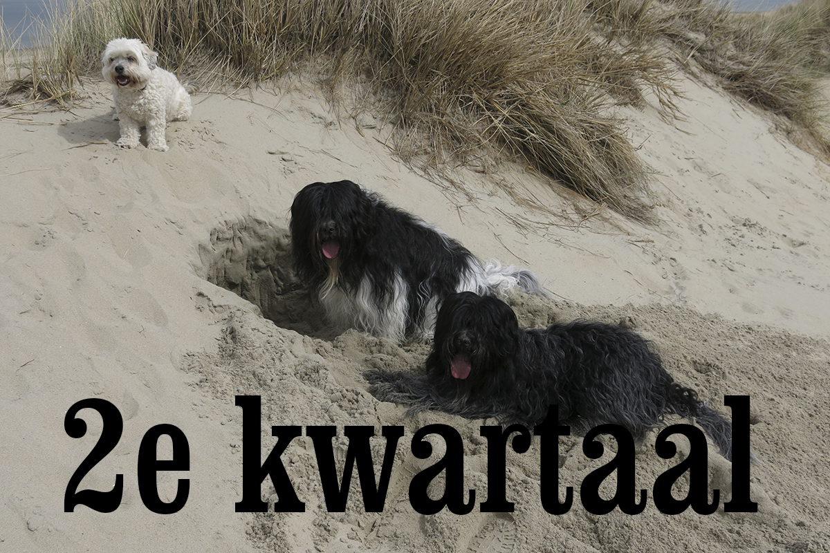 2ekwartaal