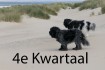 Video 4e kwartIMG_3198