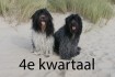 foto 4e kwart